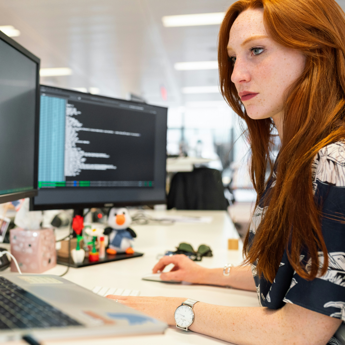 developer